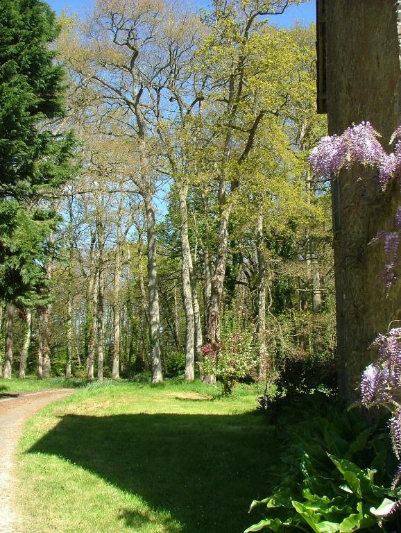 Gites De Launay Guibert Miniac-Morvan Kültér fotó